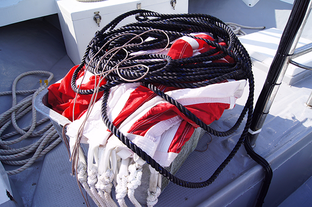 パラシュートアンカー完備